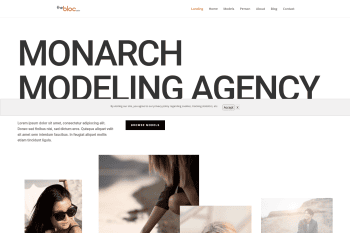 Modeling Agency 